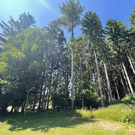 Podkovicka * Dittersdorf